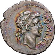 Denarius - Juba II Caesarea obverse image