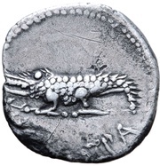 Denarius - Juba II and Cleopatra Selene Caesarea, Mauretania, 11-23 reverse image