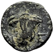 Memnon of Rhodes Æ Chalkous reverse image