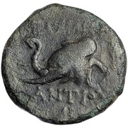Chalkon - Antiochos IV, Persian Empires, 175 BC - 172 BC reverse image