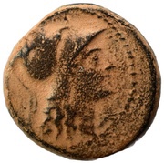 Dichalkon - Seleukos II Antioch obverse image