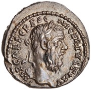 Denarius - Pescennius Niger FORTVNAE REDVCI; Fortuna obverse image