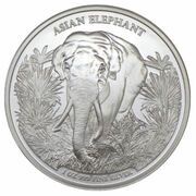 3000 Riels Asian Elephant, Cambodia, 2023 reverse image