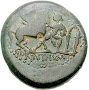 Æ25 P TADI CHILO C IVLI NICEP IIVIR obverse image