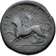 Æ21 reverse image