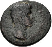 Æ22 - Agrippa Postumus Parsley wreath obverse image