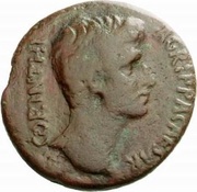 Æ22 - Agrippa Postumus Parsley wreath obverse image