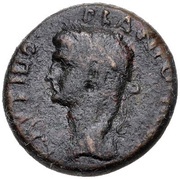 Æ20 - Tiberius Portrait facing left; Pegasus obverse image