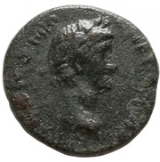 Æ20 - Tiberius Portrait facing right; Pegasus obverse image