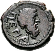 Æ19 reverse image