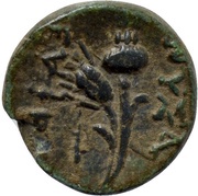 Æ13 reverse image