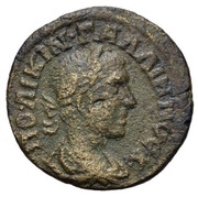 Æ19 - Gallienus obverse image