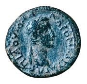 Æ17 - Caligula ΖΜΥΡΝΑΙWΝ ΜΗΝΟΦΑΝΗC; Smyrna obverse image