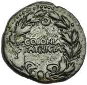 As - Augustus COLONIA PATRICIA reverse image