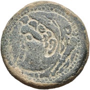 Dupondius - Augustus PONT BALBVS obverse image