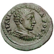 Assarion - Severus Alexander as Caesar ΝΙΚΑΙΕΩΝ; standards obverse image