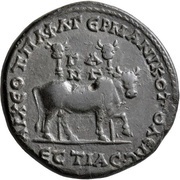 Tetrassarion - Caracalla APXЄOT•ΠAΦΛ•ΓЄPMANIKOΠΟΛЄωC - ЄCTIAC; Germanicopolis, Rome, 198-217 reverse image