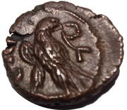 Tetradrachm - Carinus Alexandria reverse image