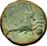 Æ14 Capricorn with globe; Forum Iulii reverse image