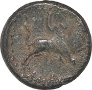 Æ - Augustus Amphipolis reverse image