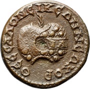 Æ26 - Gordian III ΘΕϹϹΑΛΟΝΕΙΚΕΩΝ ΝΕΩΚΟΡ, ΠΥΘΙΑ; Thessalonica reverse image
