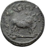 Æ16 - Antoninus Pius C G I H P reverse image