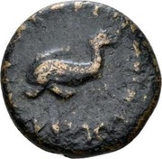 Æ22 A POMP A F L II VIR COL TVN, Rome, 44 BC - 36 BC reverse image