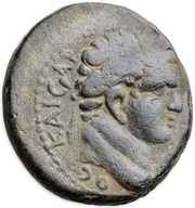 As - Domitianus Antiochia ad Hippum obverse image