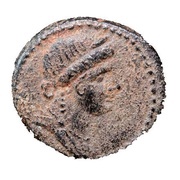 Æ16 - Nero ΑΝΤΙΟΧΕΩΝ ΕΤ·ΗΡ; Antioch obverse image