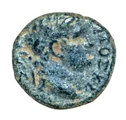 Æ16 - Titus as Caesar ΓΑΔΑΡΑ L ΖΛΡ; Gadara obverse image