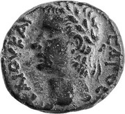 Æ - Caligula Nysa-Scythopolis obverse image