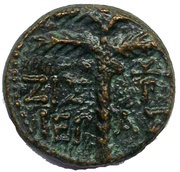 Æ17 - Domitianus Tyre, Rome, 81-94 reverse image