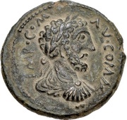 Æ - Commodus CEBACTHNΩN CYP; Sebaste obverse image