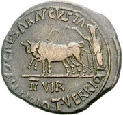 As - Augustus CAESARAVGVSTA C ALLIARIO T VERRIO II VIR, Rome, 6 BC reverse image
