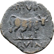 Semis - Augustus CONDVC MALLEOL reverse image