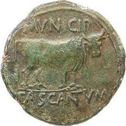 As - Tiberius MVNICIP CASCANTVM reverse image