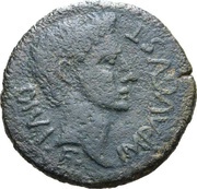 Semis - Augustus MVN ILERDA obverse image