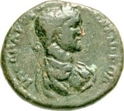 Æ18 - Severus Alexander AEL MVNI COELA; Coela obverse image