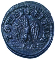 Æ18 - Caracella reverse image