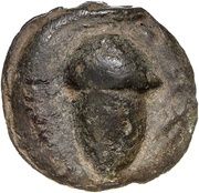 Semuncia Anonymous obverse image