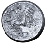 Quadrigatus Anonymous; ROMA reverse image