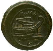 Semuncia Anonymous; ROMA reverse image