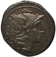 Denarius Star 1; ROMA obverse image