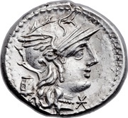 Denarius Marcia: Manius Marcius; M MAR C ROMA obverse image