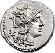Denarius Maenia: Publius Maenius Antias; P•MAE ANT ROMA obverse image