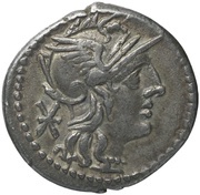 Denarius - Caecilia obverse image