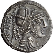 Denarius - The Bellum Sociale Campania obverse image