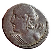 Denarius Licinii: Lucius Licinius Macer obverse image