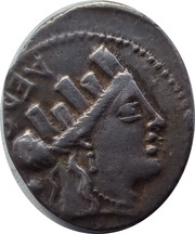 Denarius Furia: Publius Furius Crassipes; AED CVR / P FOVRIVS CRASSIPES obverse image