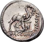 Denarius Plautia: Aulus Plautius; A•PLAVTIVS AED•CVR•S•C / BACCHIVS IVDAEVS, Rome, 55 BC reverse image